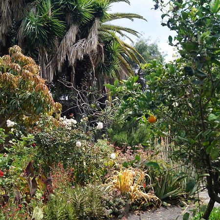 La Casita Del Jardinero Villa Лос Лианос де Аридане Екстериор снимка
